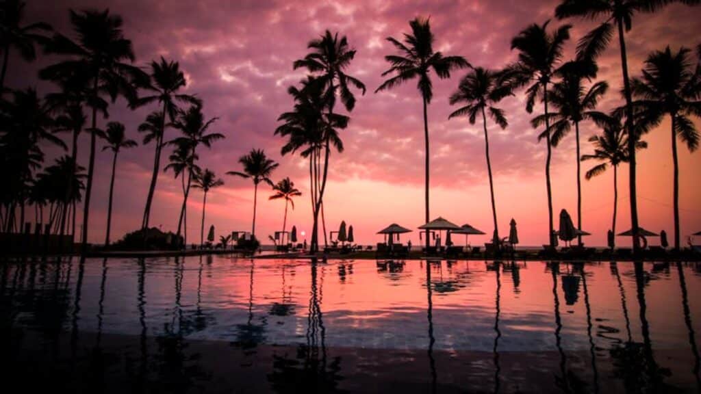 Sunset & coconut trees