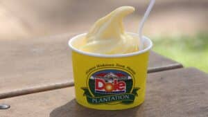 Whip Ice Cream at Dole Plantation in Wahiawa, Hawaii
