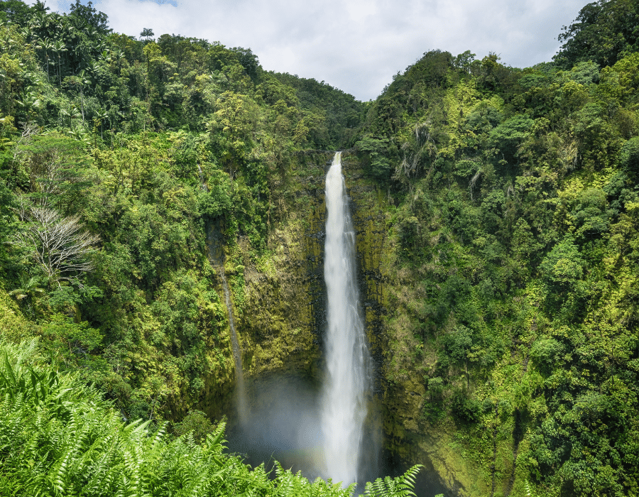 Big Island Waterfalls with Greenery in the background